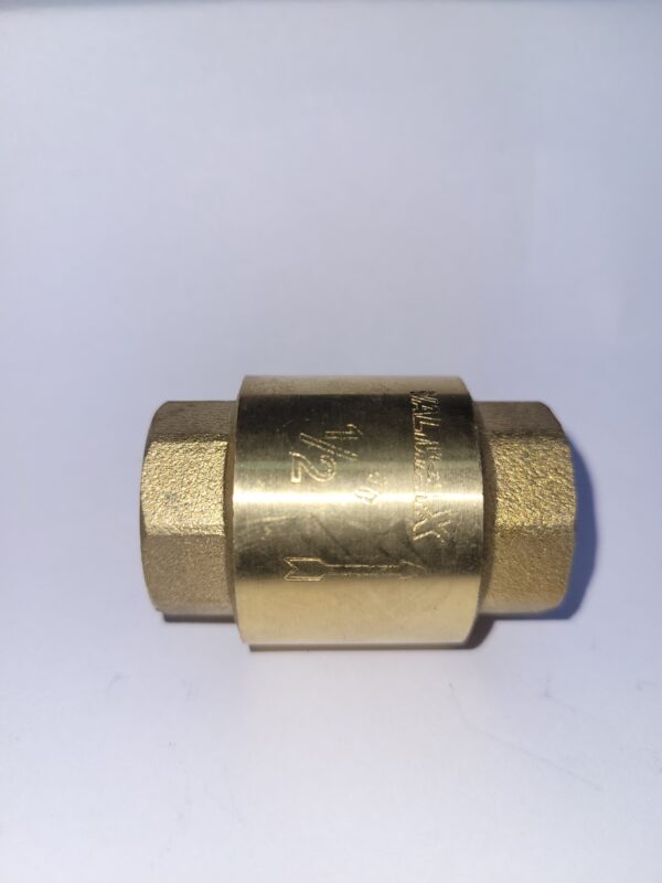 VALV.CHECK RESORTE VERTICAL 1/2" VALMAX (20)