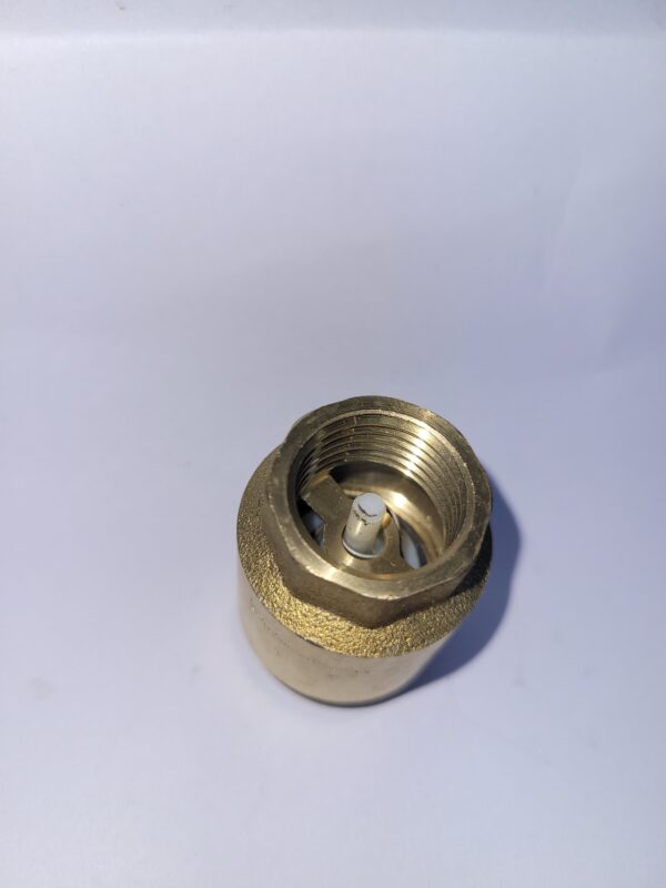 VALV.CHECK RESORTE VERTICAL 1/2" VALMAX (20)