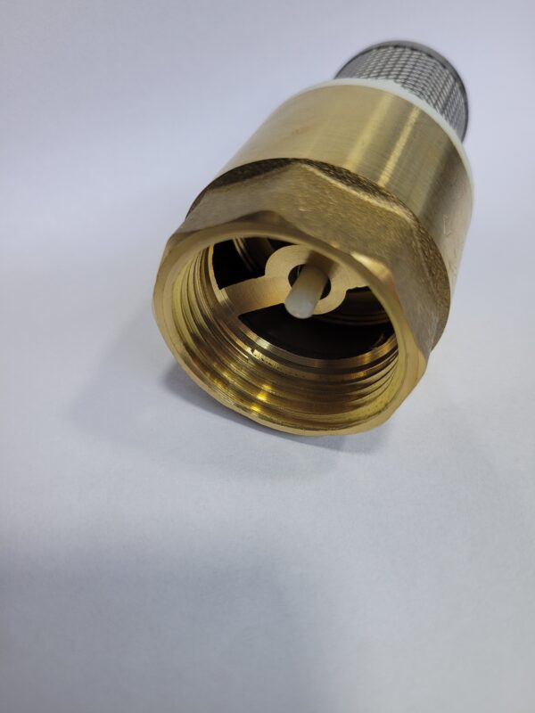 VALV CHECK  CANAST T/YORCK 1" VALMAX